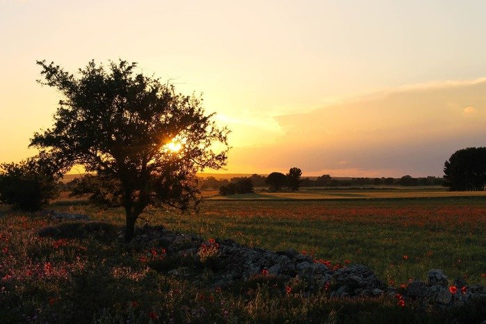 Benvenuti nel Blog di Investigatore Privato Puglia